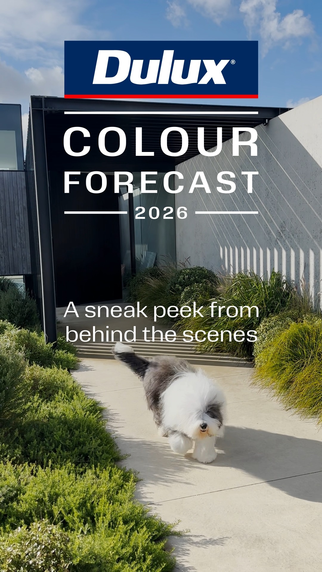 Dulux Australia - Featuring Dulux Silkwort and Dulux Vivid White ...