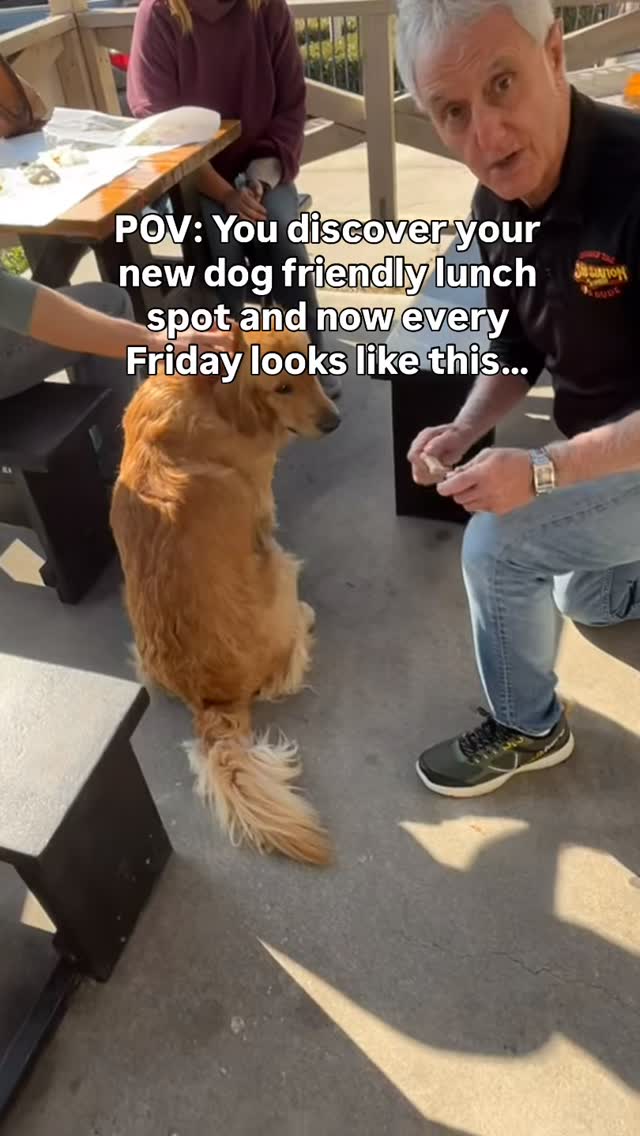 We have TWO dog friendly patios so bring your pup on by and grab a bone ...