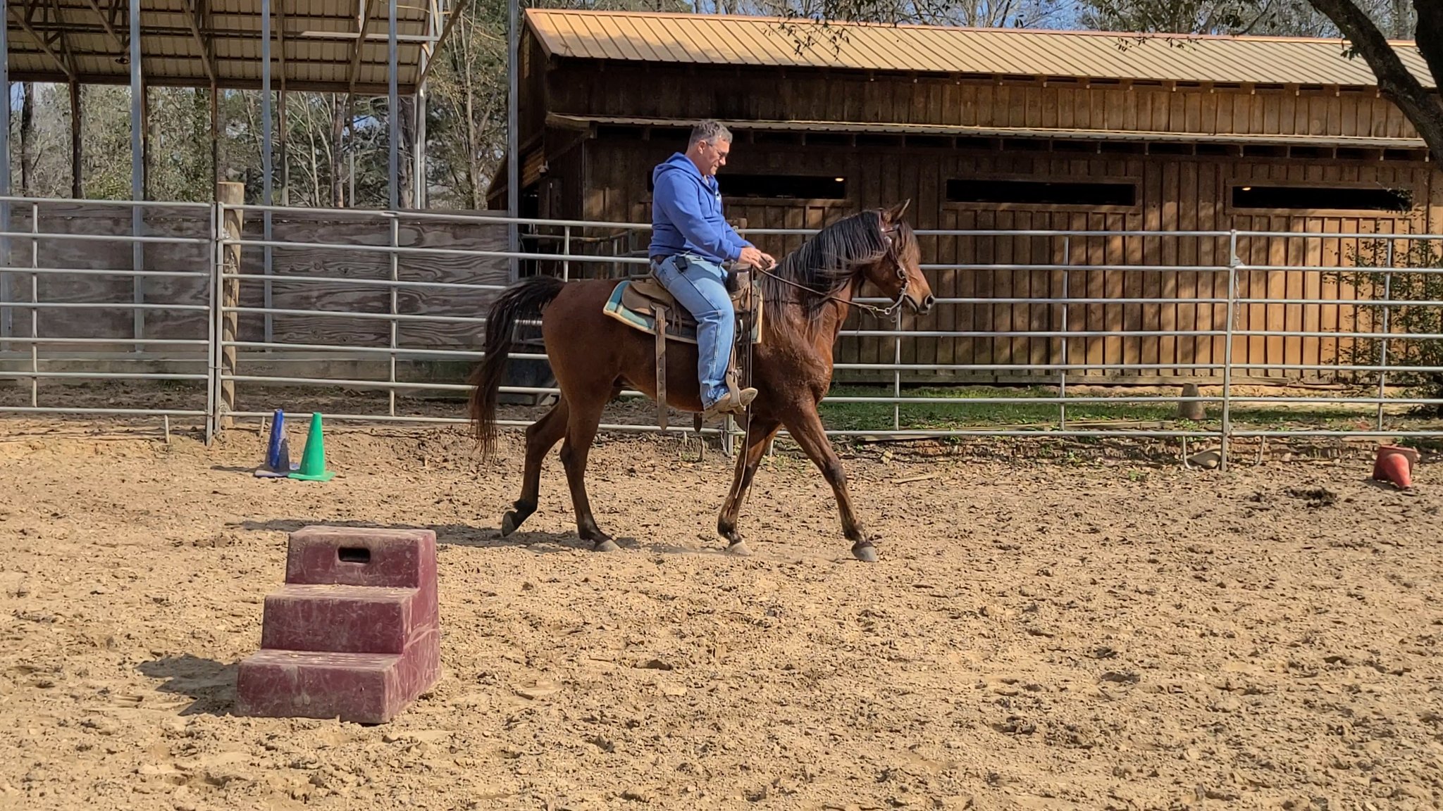 Yes I know he is in pain and I am riding him anyway. This is why. | Tim ...