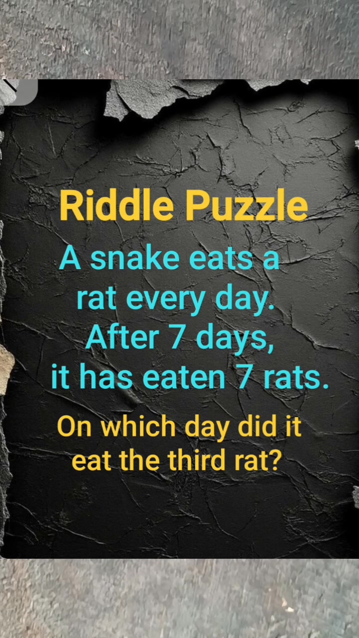 Riddle puzzle, on which day the snake eats the third rat? #wordriddle ...