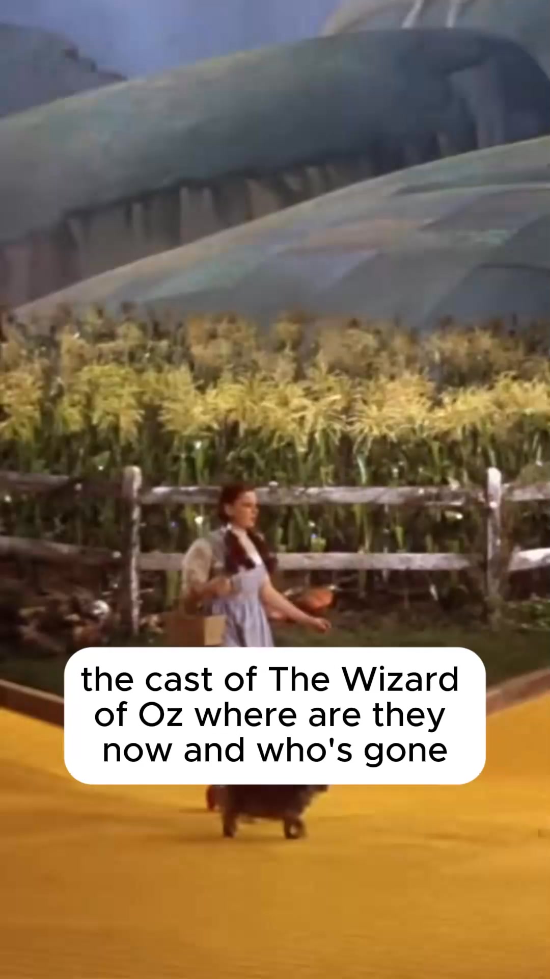Flick Fanatic - The cast of the wizard of oz where are... | Facebook