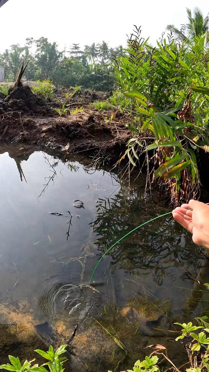 traditional way of catching river shrimp #fishing #traditional #usa # ...