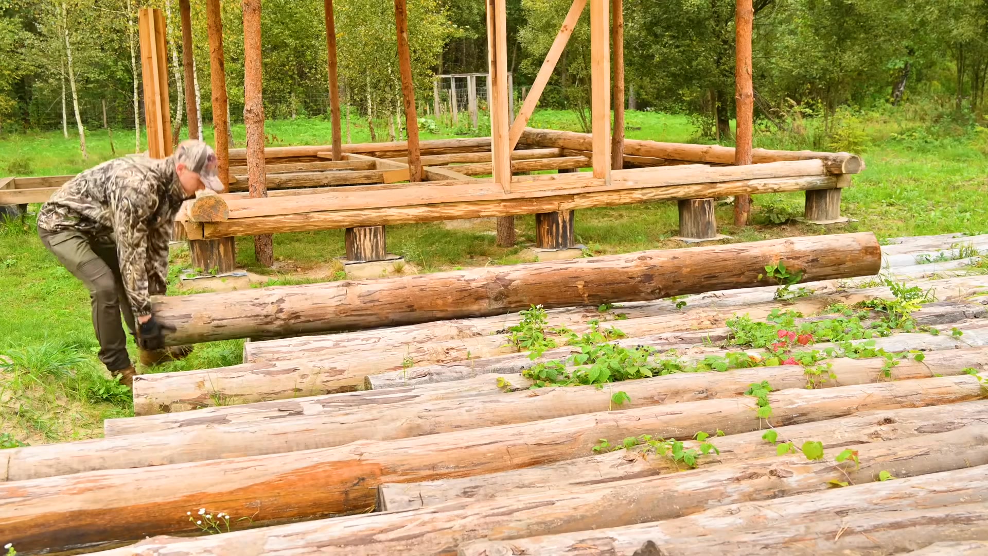 1 Year Alone Building a Log Cabin In The Forest With My Dog ⧸ Start to ...