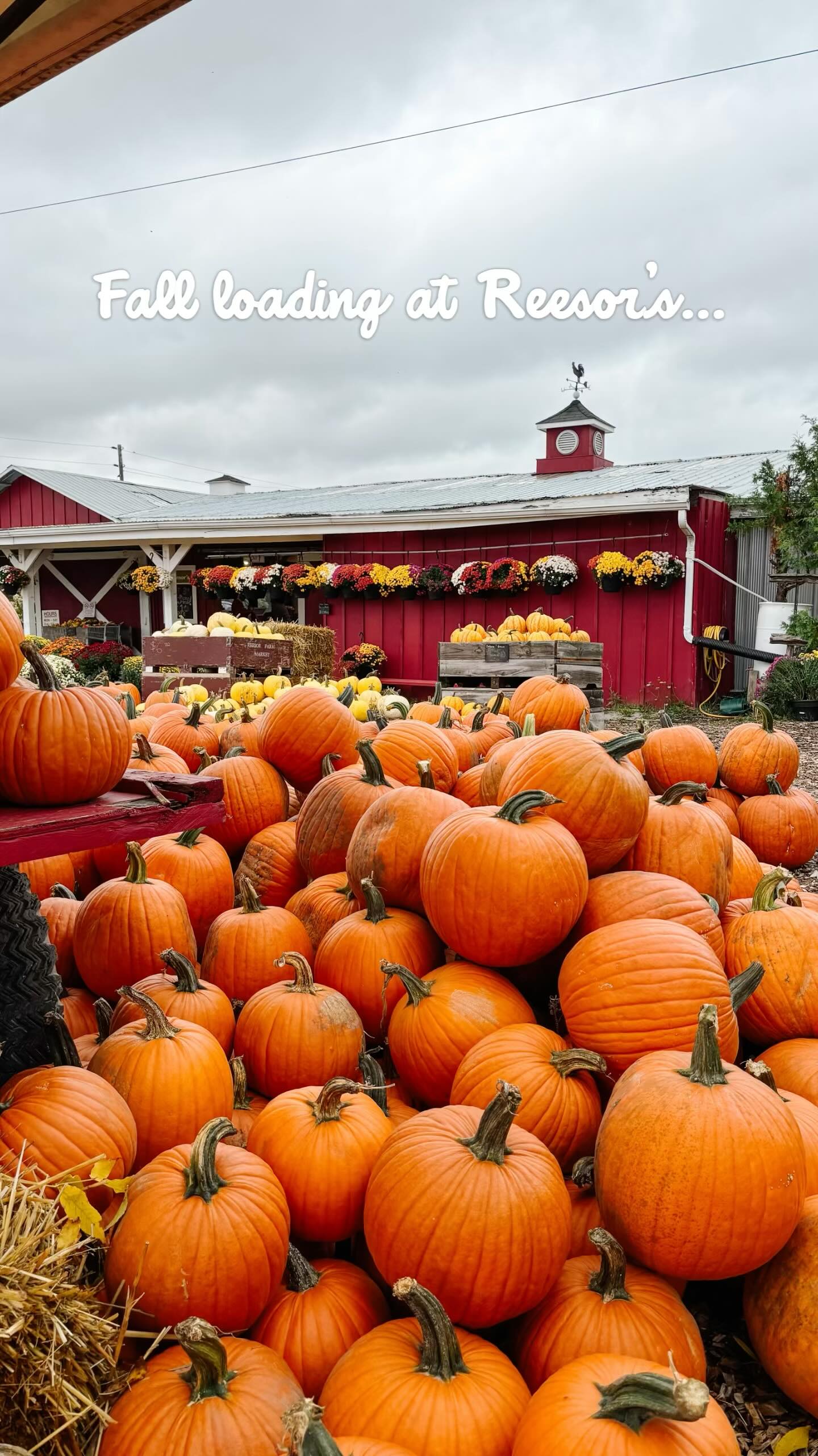 🍂 Fall loading at Reesor’s… 🎃🌽 The... - Reesor’s Farm Market | Facebook