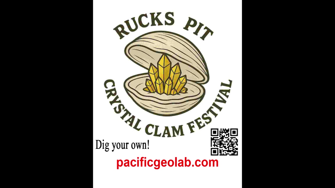 First Prize! Rucks Pit clam takes the Blue Ribbon at annual shell show ...