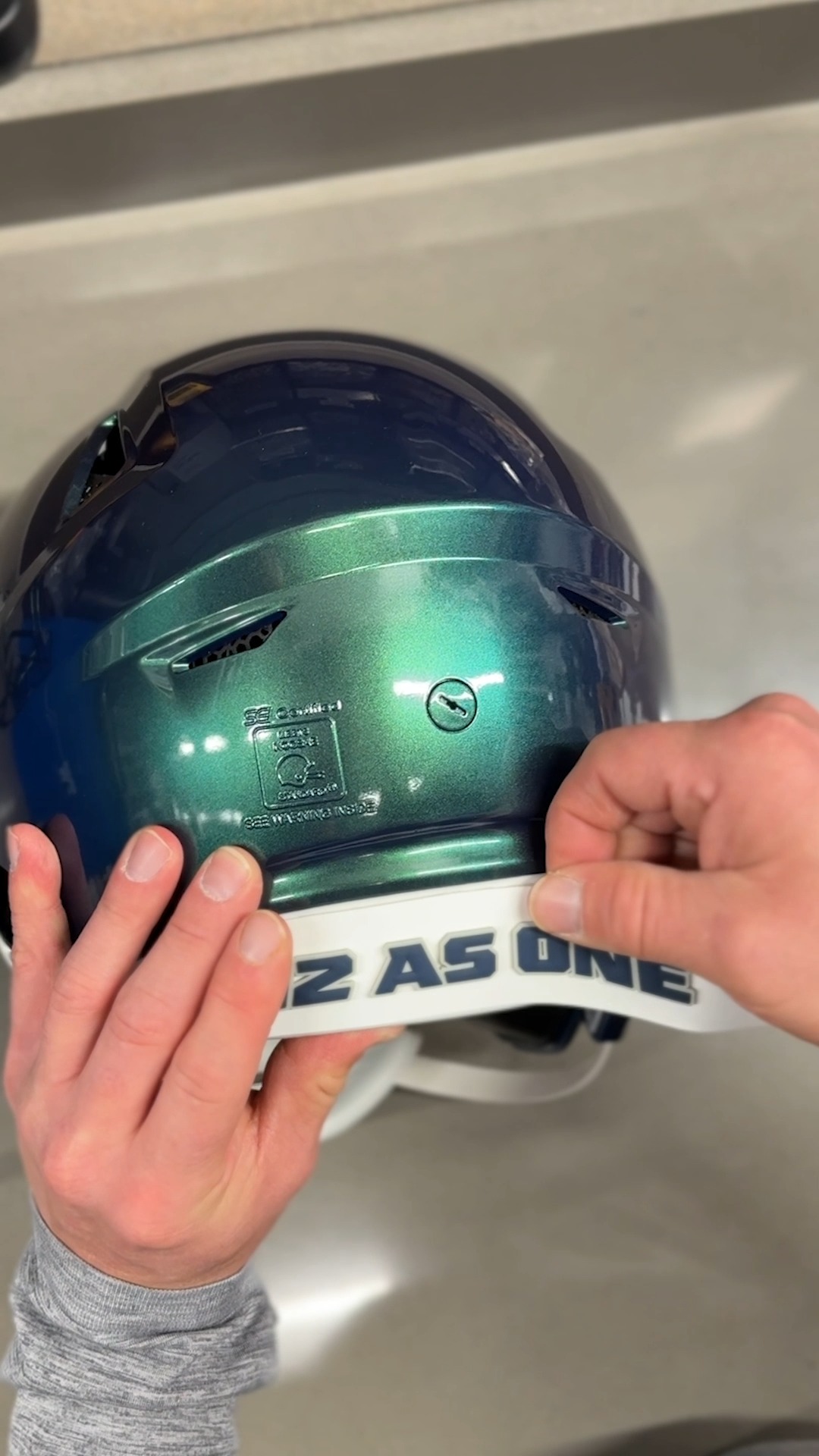 fantasy football helmet seachickens Footballers Mini SP face mask Have my Seahawks football finally