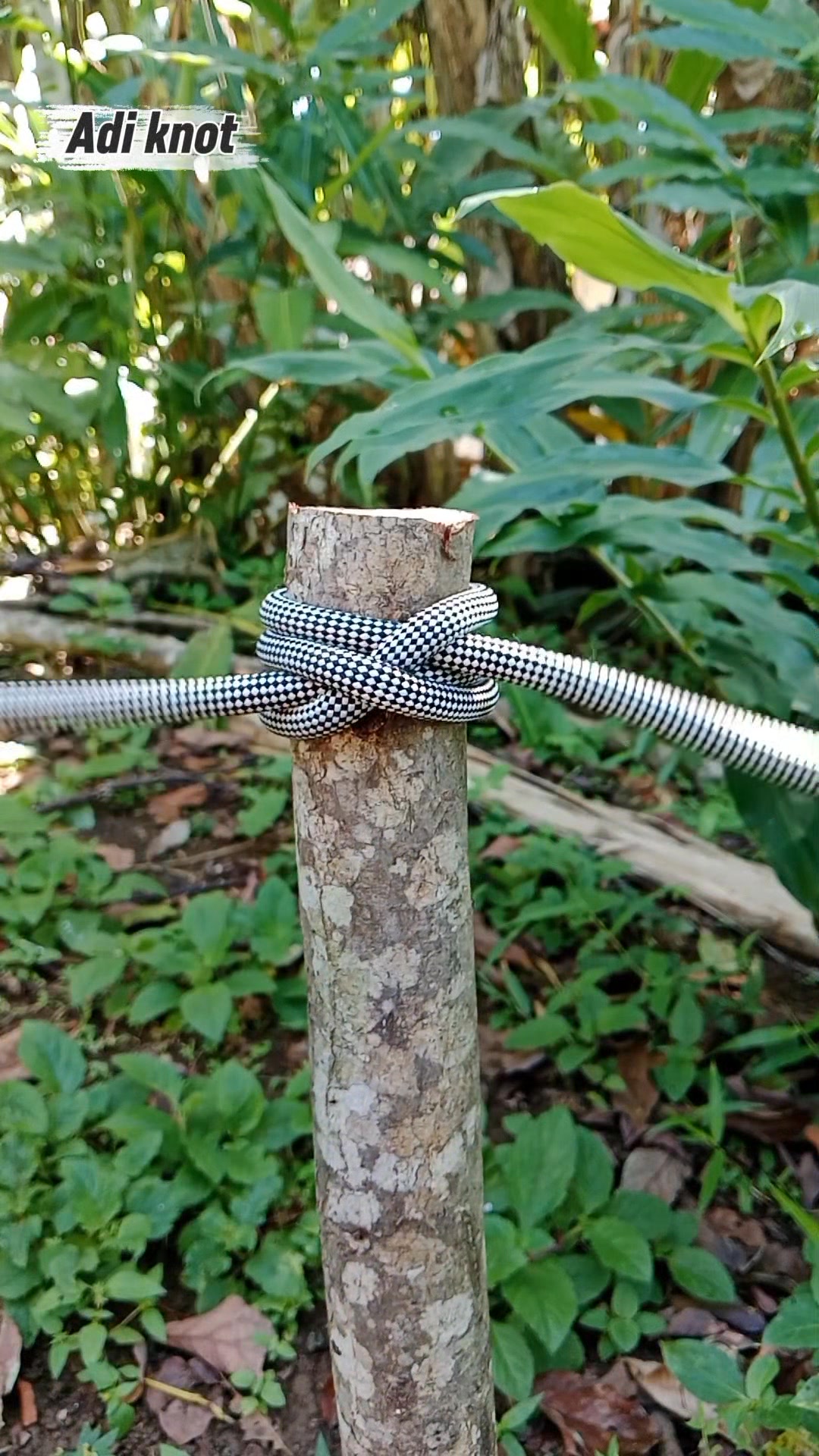 Amazing double clove hitch #knot #trick #diy #rope #fyp #a #handmade # ...