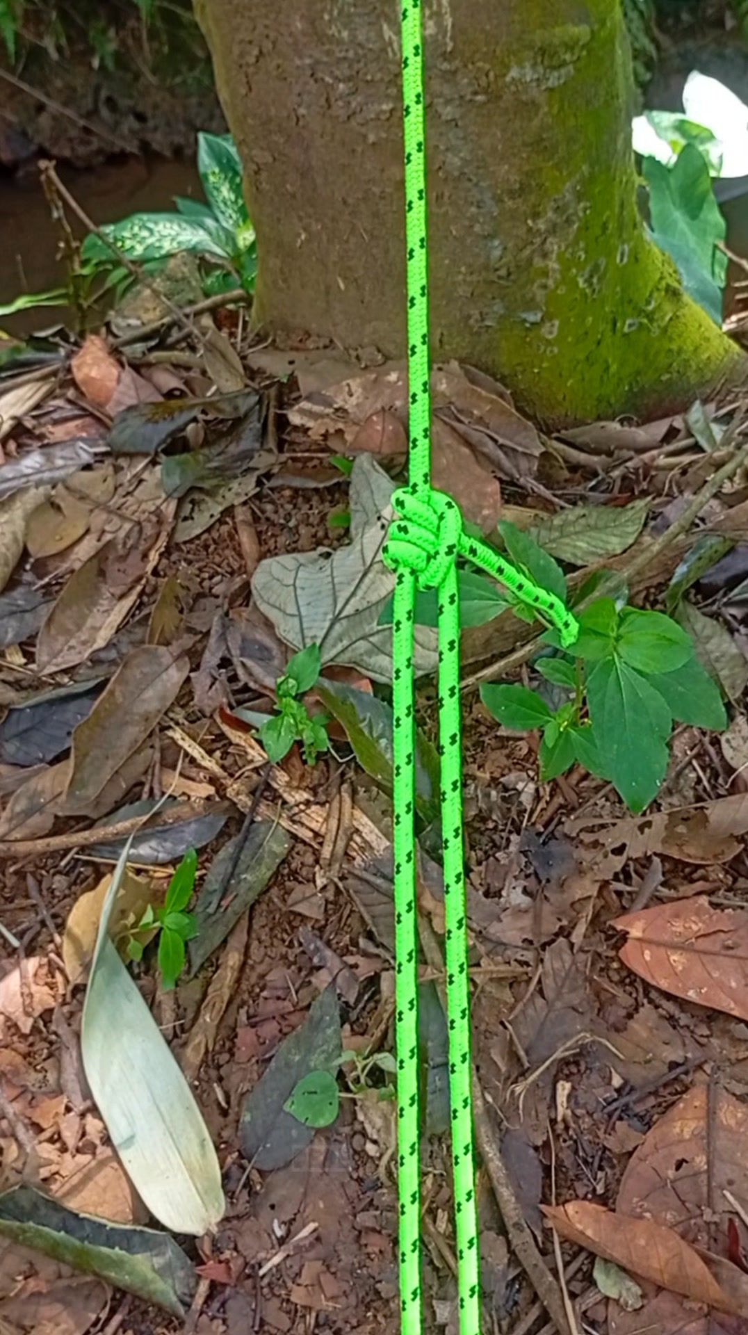 Amazing Italian hitch #camping #rope #knot #lifehack #diy | Dede Knots ...