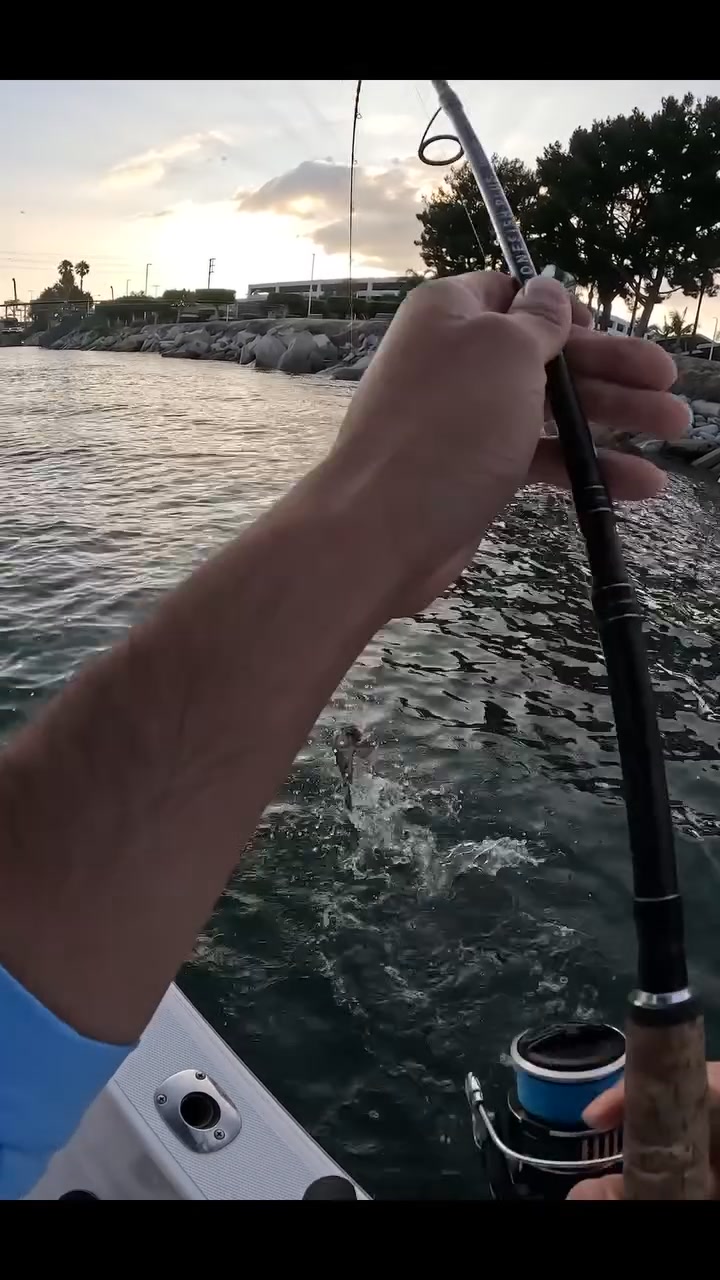 Always get calls at the worst time 😅 #fishing #fisherman #massachusetts ...