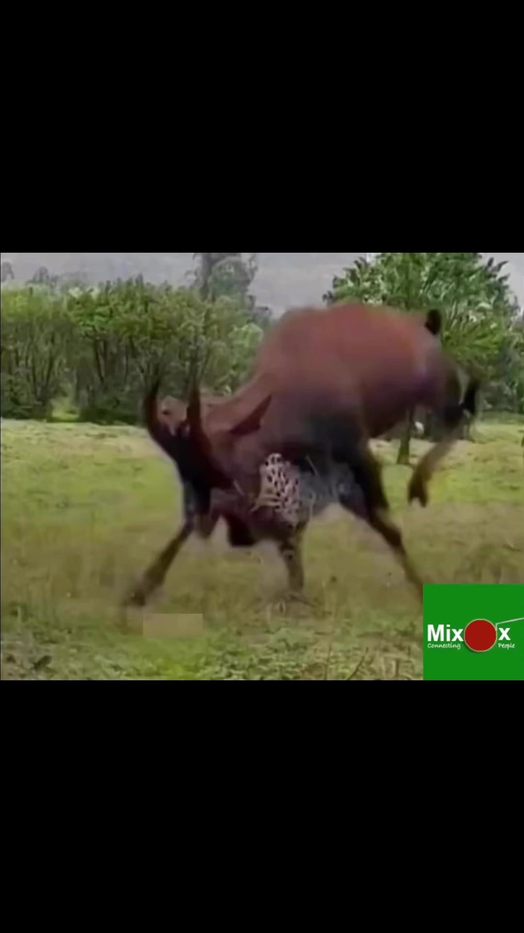 MixOx Media & TV | Buffalo NY