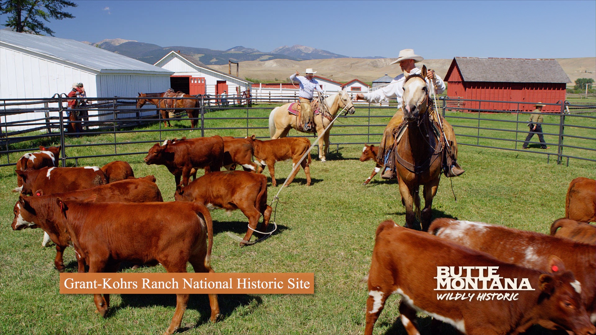 🌄 Adventure Alert! 🚗 Make the most of your weekend! Use Butte, MT as ...