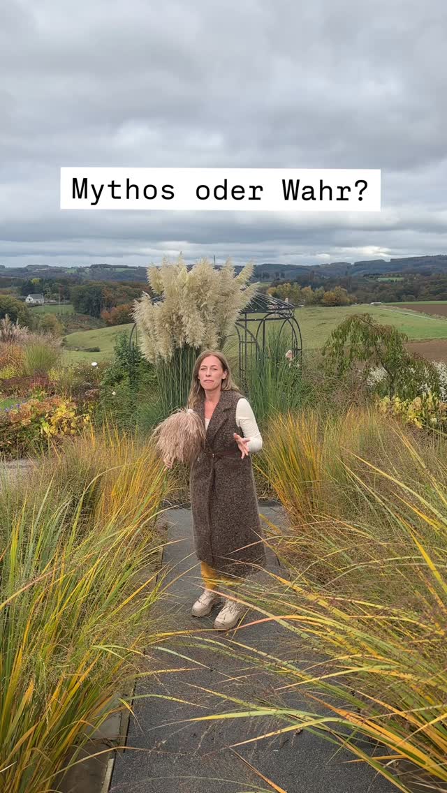 Also jetzt mal ehrlich: Letztes Jahr haben mich so viele Nachrichten erreicht:, ‚Wusstest du, wenn du Pampasgras im Vorgarten hast, gehst du in den Swingerclub?‘ , Daran musste ich jetzt im Herbst