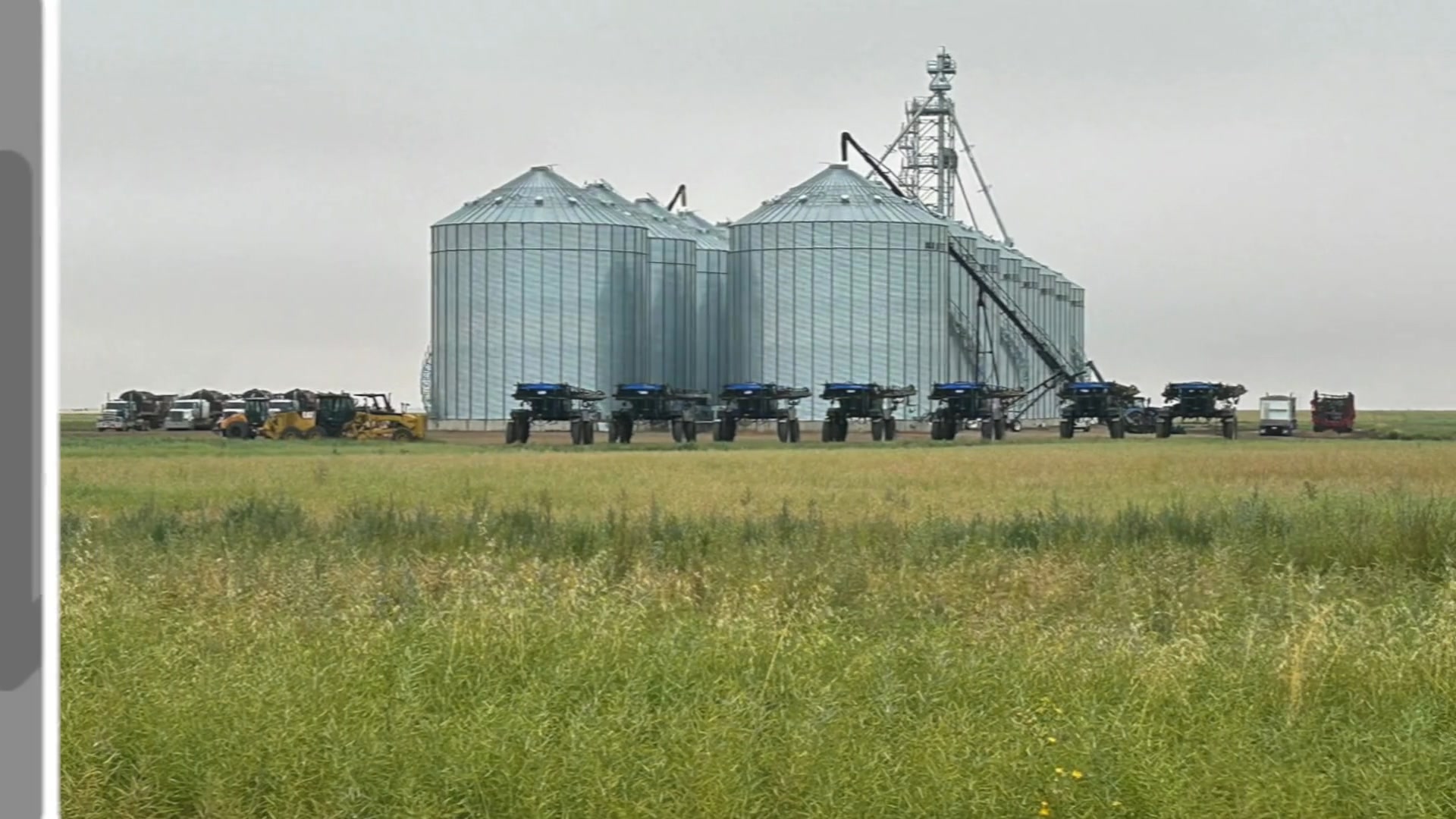 Golden fields, steady hands, and the sound of harvest rolling on. When ...