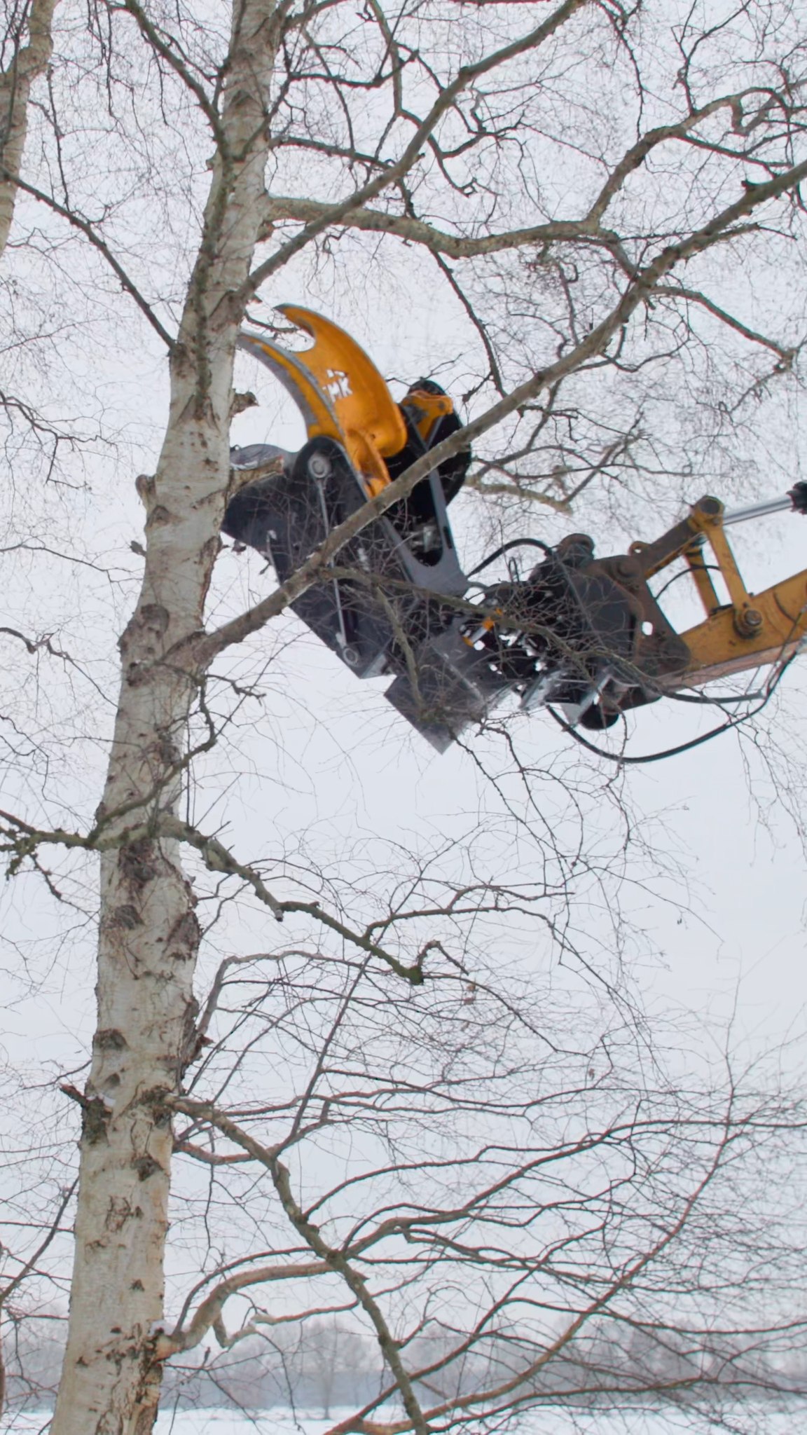 This is how you prune a tree with a TMK Tree Shear! The Fixed Tilt is ...