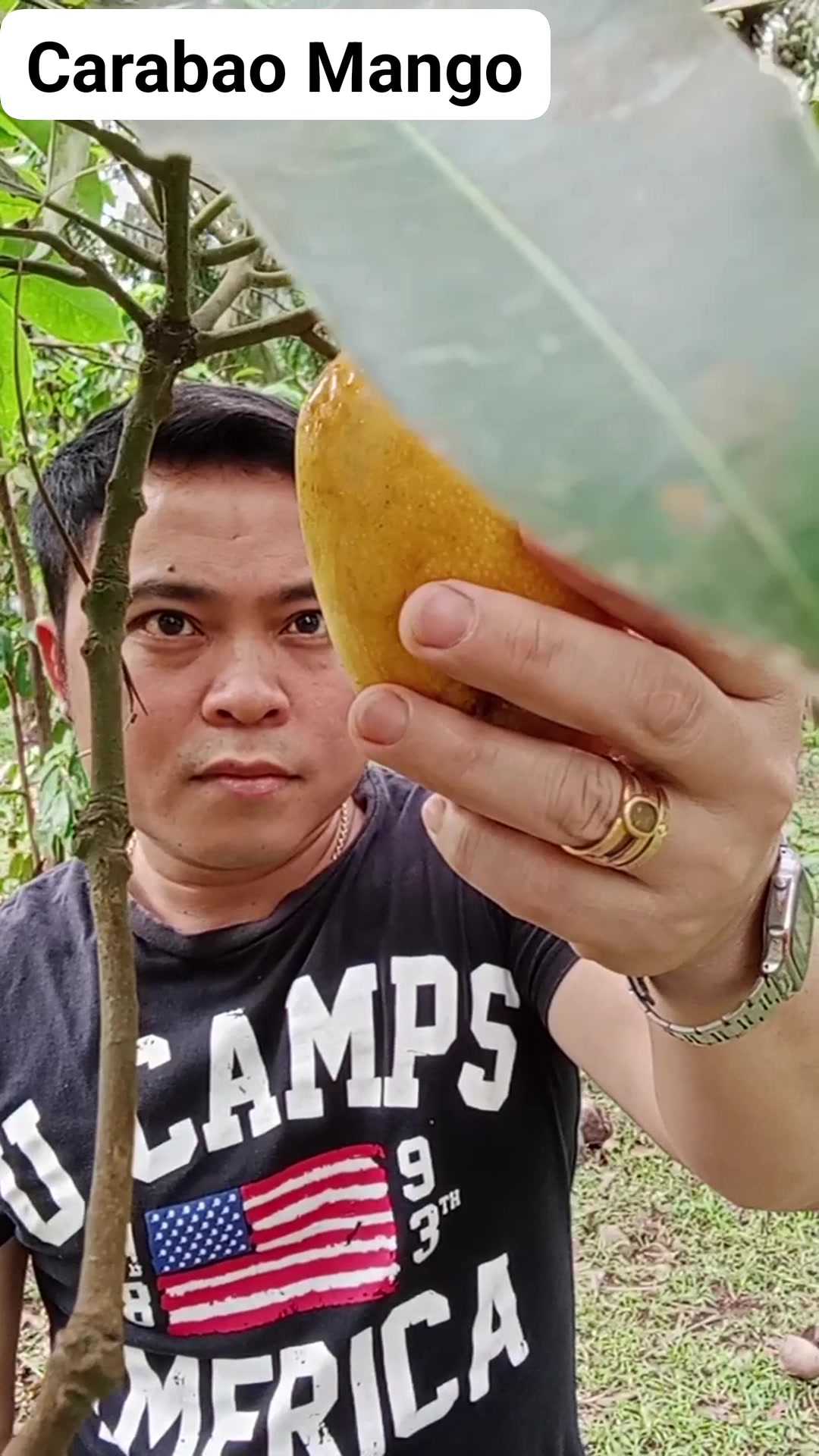 Carabao Mango #funny | Peter Mayuga | Facebook