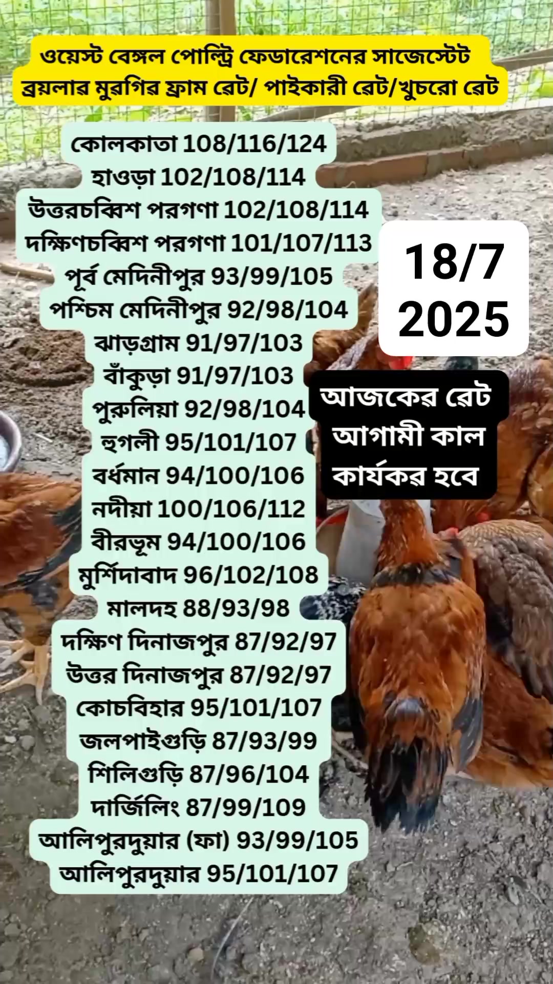 Poultry rate 🐔👌 #flowereveryone #marketnews | Poultry Bhorosa | Facebook