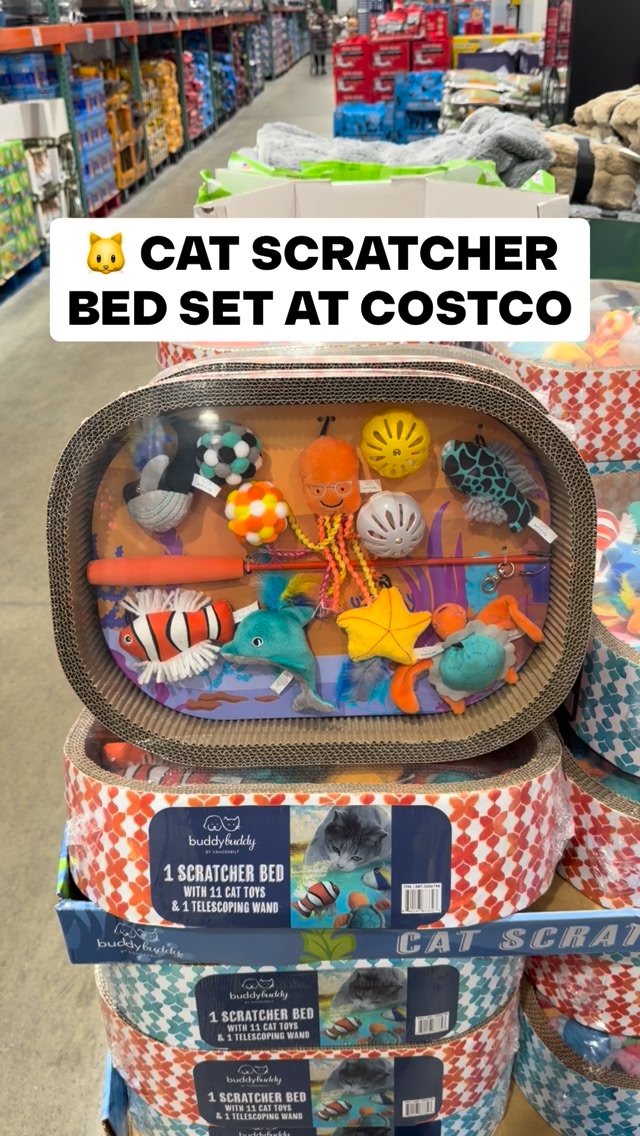 I finally spotted the Warehouse Cat Scratcher at Costco 😮 This