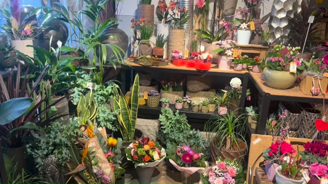 Blumen in Rot
