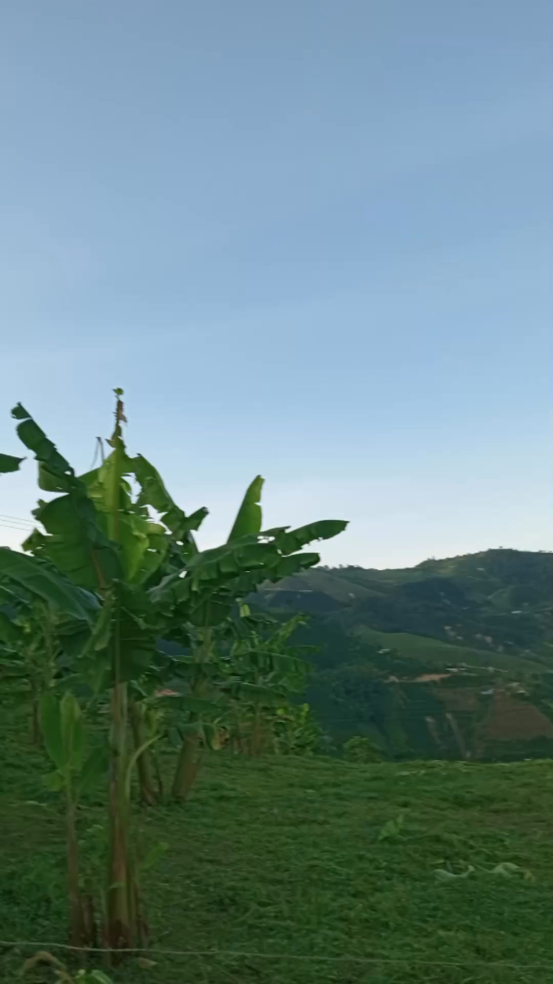#viralvideoシ 🙏💯 ️💥 | naturaleza infinita | Facebook