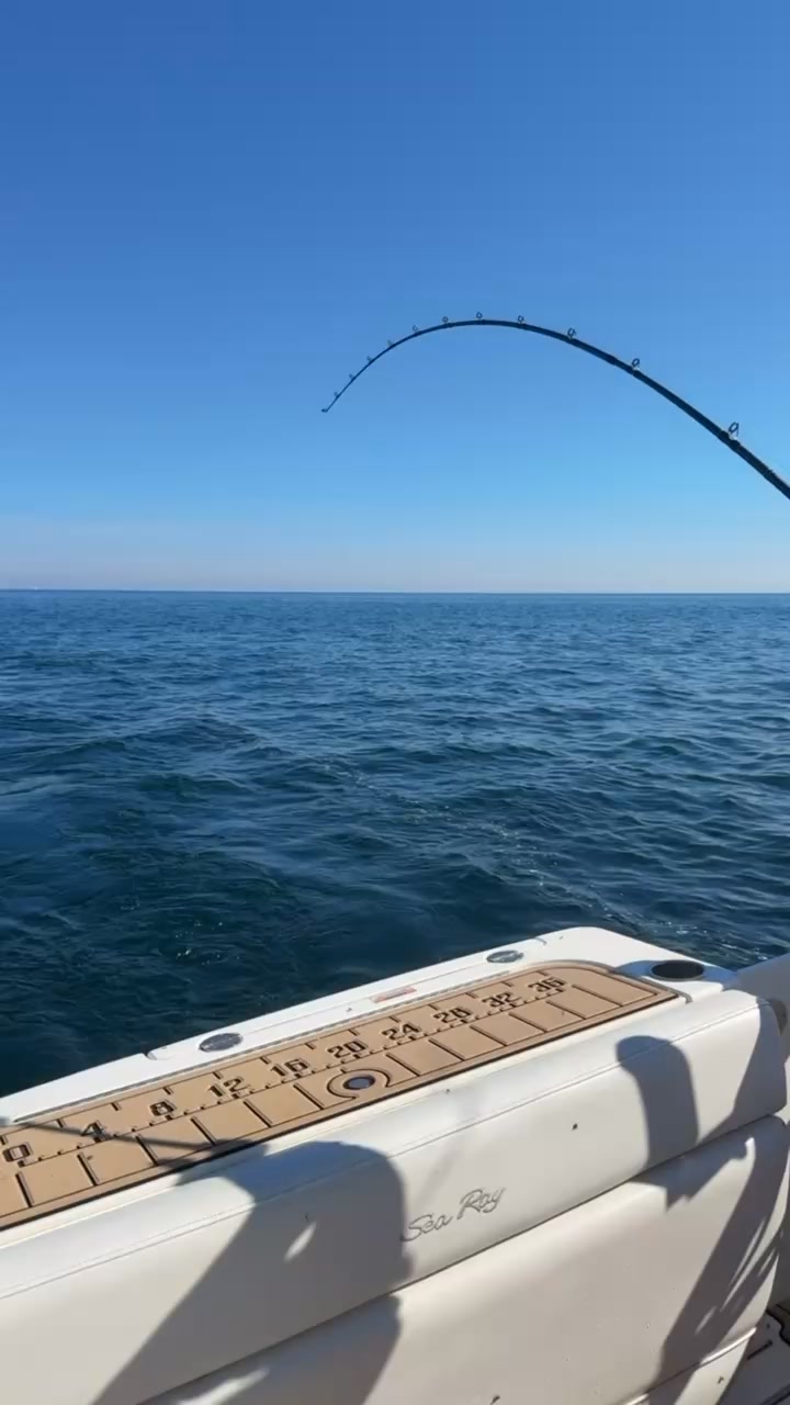 st croix avid inshore spinning rod 7.6 St. Rods Rod, ASIS, Premium Quality Spinning Rod, Made in The USA : Sports & Outdoors Buy with confidence Products – fiblink Best Hat Wisconsin Model:3/4 oz