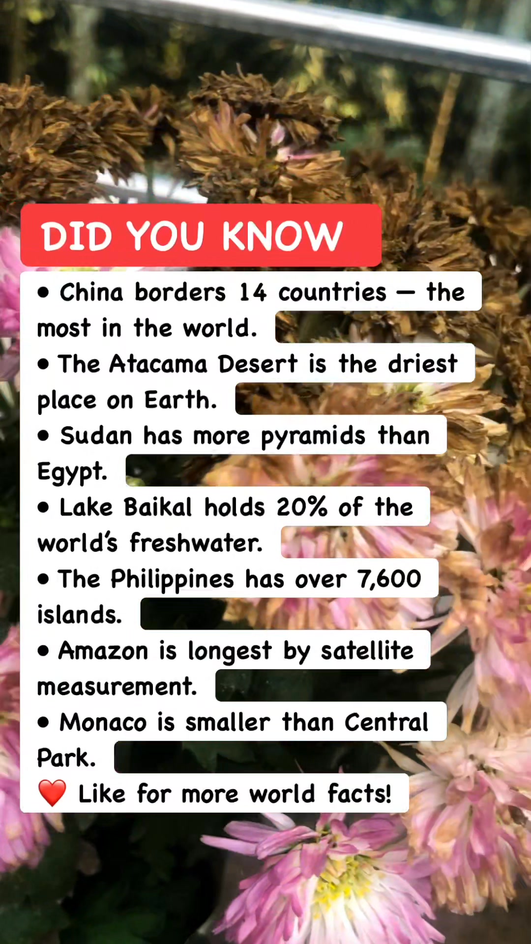 Mind-Blowing Facts About Our World! #WorldFacts #EarthKnowledge # ...