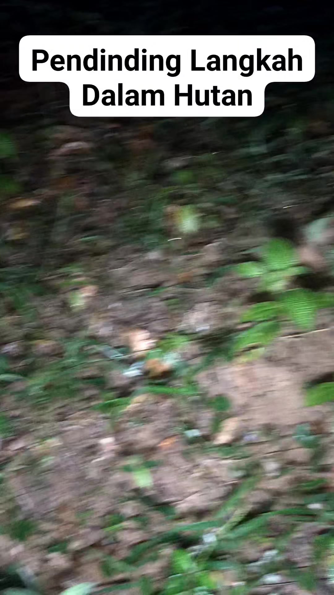 Sebelum melangkah masuk ke dalam hutan..perlu ada pelindung.Terutama di ...