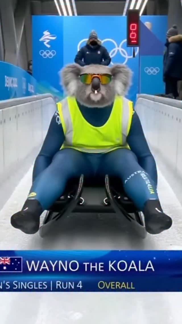 Wayno sends it in the luge ️🐨 | Willba's Tech | Facebook