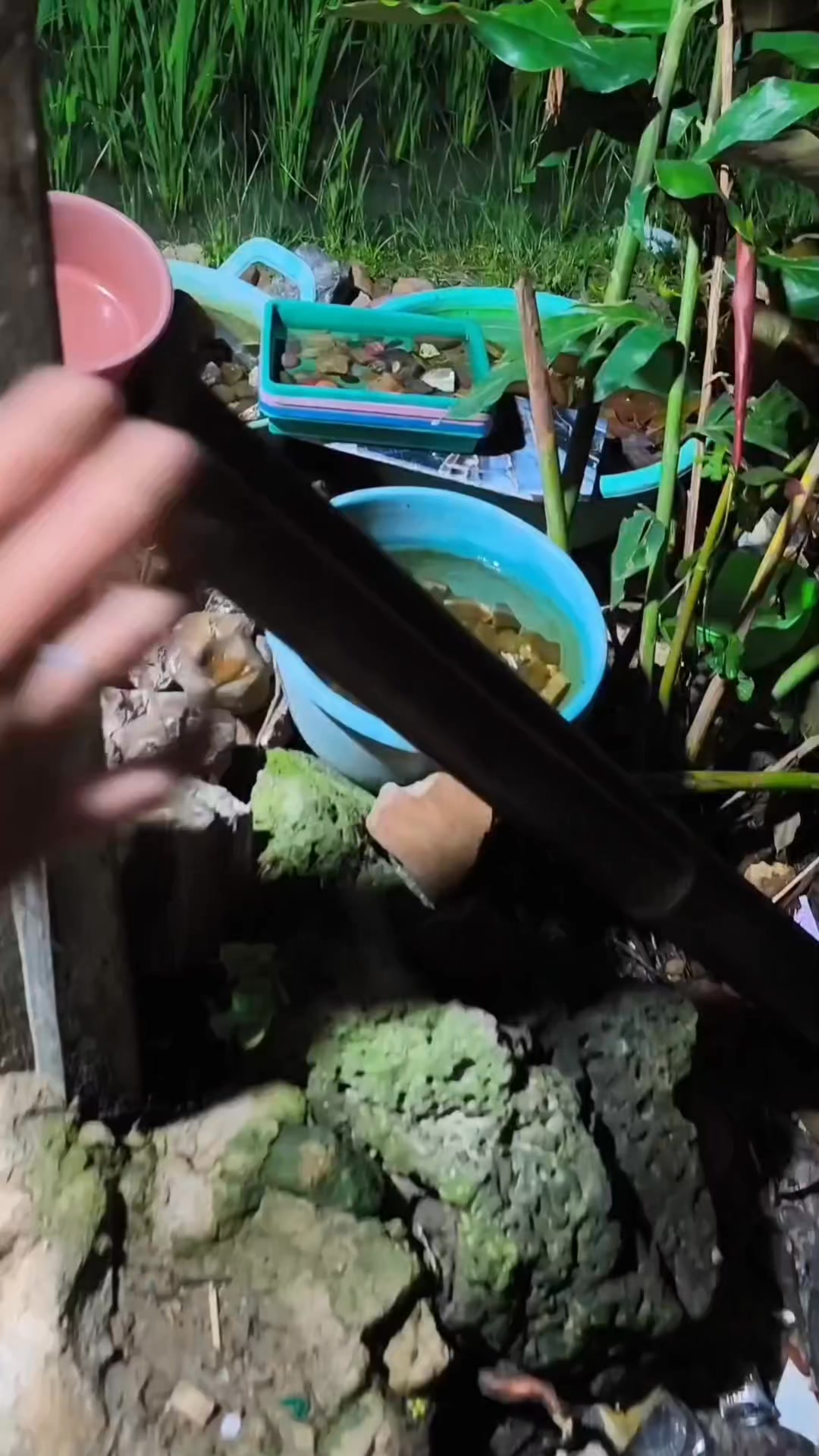 Tradisional Fhinisng bamboo | Dedi Permanto | Facebook