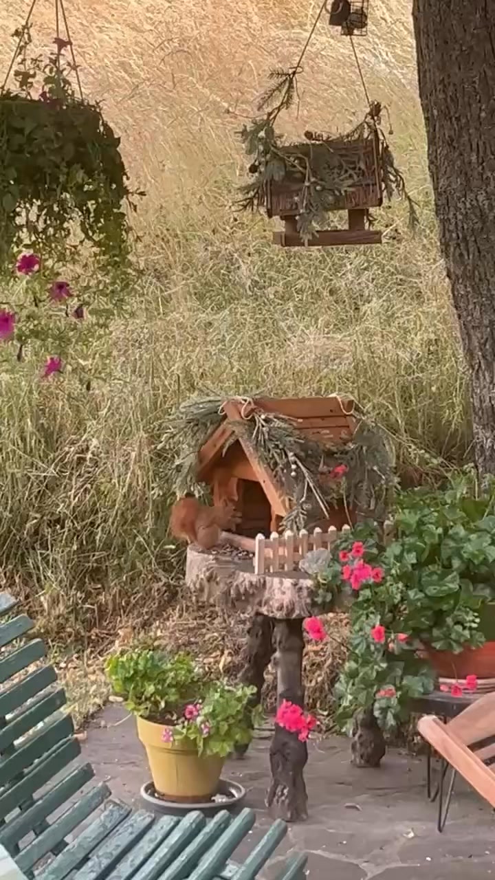 Françoise Luvini Cueff on Reels | Facebook