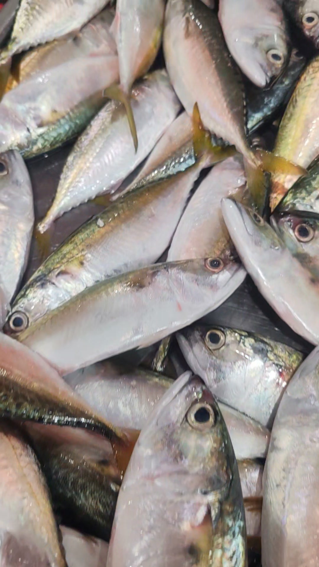 鱼佬吧冬海鲜 YU LAO Fishery | Muar