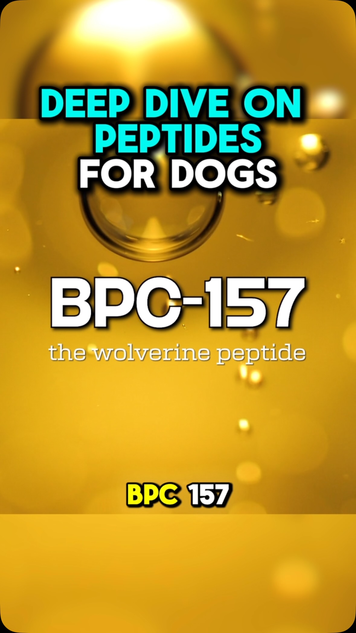 BPC-157 for Dogs: Peptides Deep Dive and Cancer Warning