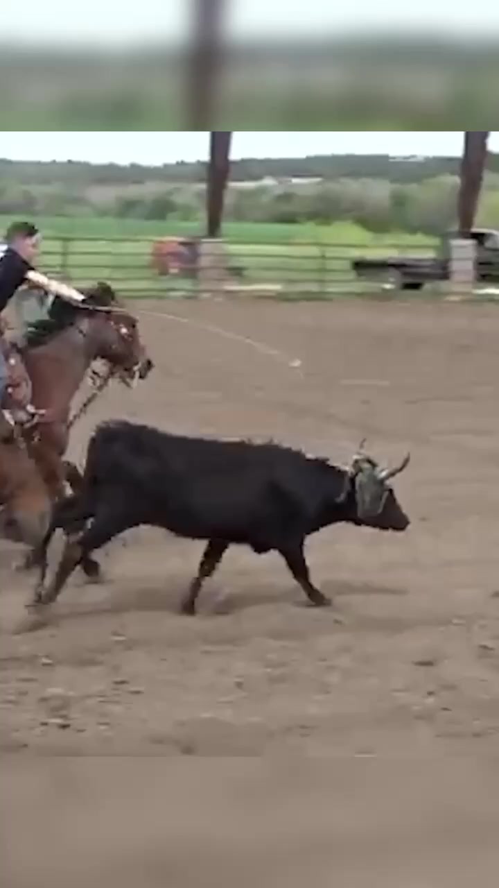 Our Team Roping Clinic with Clay O'Brien Cooper & Jake Barnes is FULL ...