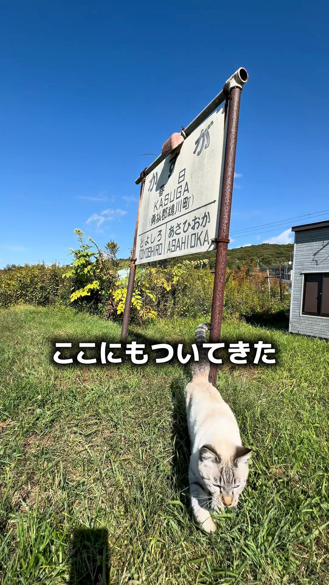 日高本線・鵡川駅。 駅の横には、かつて鉄道を支えていた保線関係の