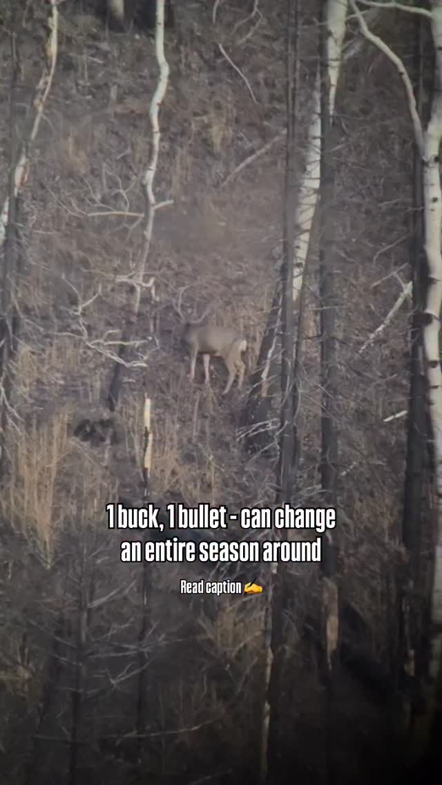 Archery season tested me harder than any hunt before - missed shots ...