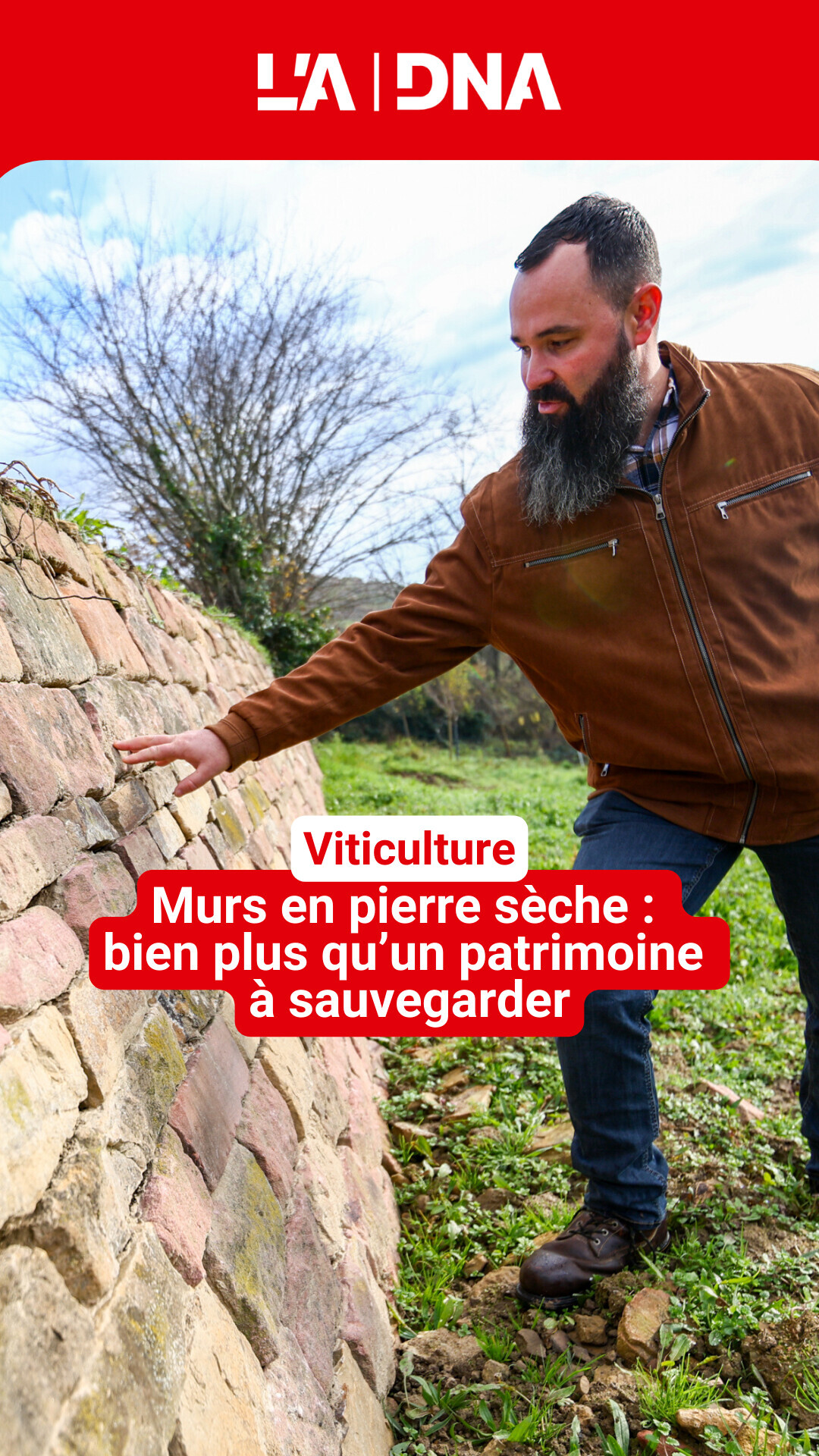 Anthony Le Roux, l'un des rares muraillers alsaciens, perpétue un ...
