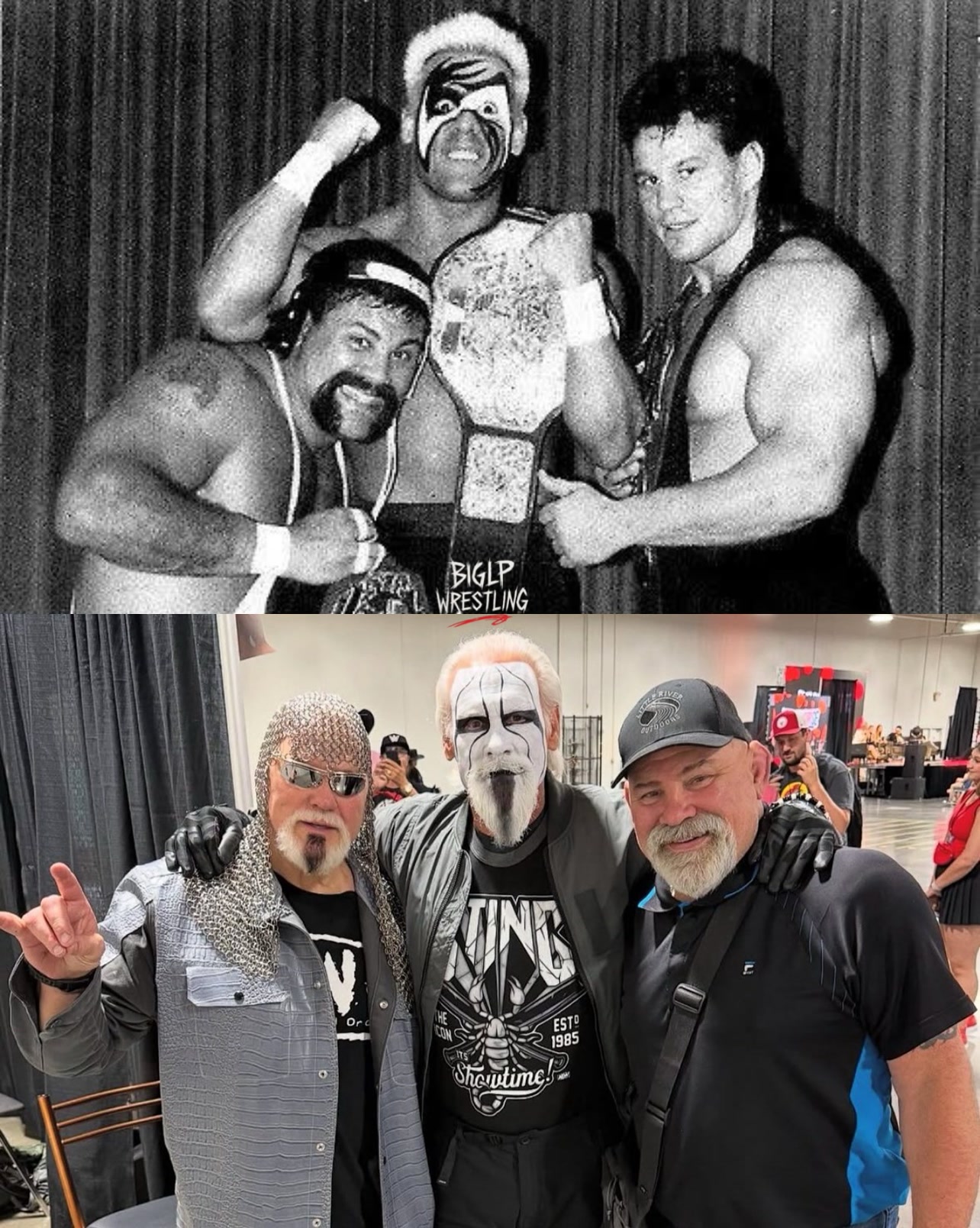 Legends: Sting and the Steiner Brothers