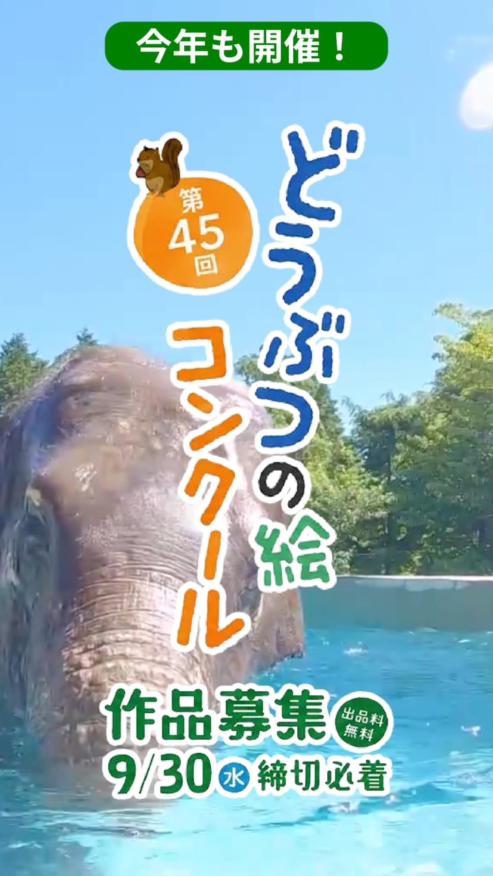 旭山、上野、動物園　名古屋港水族館　富士サファリパークチョロQセット 旭山、上野、動物園 名古屋港水族館 富士サファリパークチョロQセット