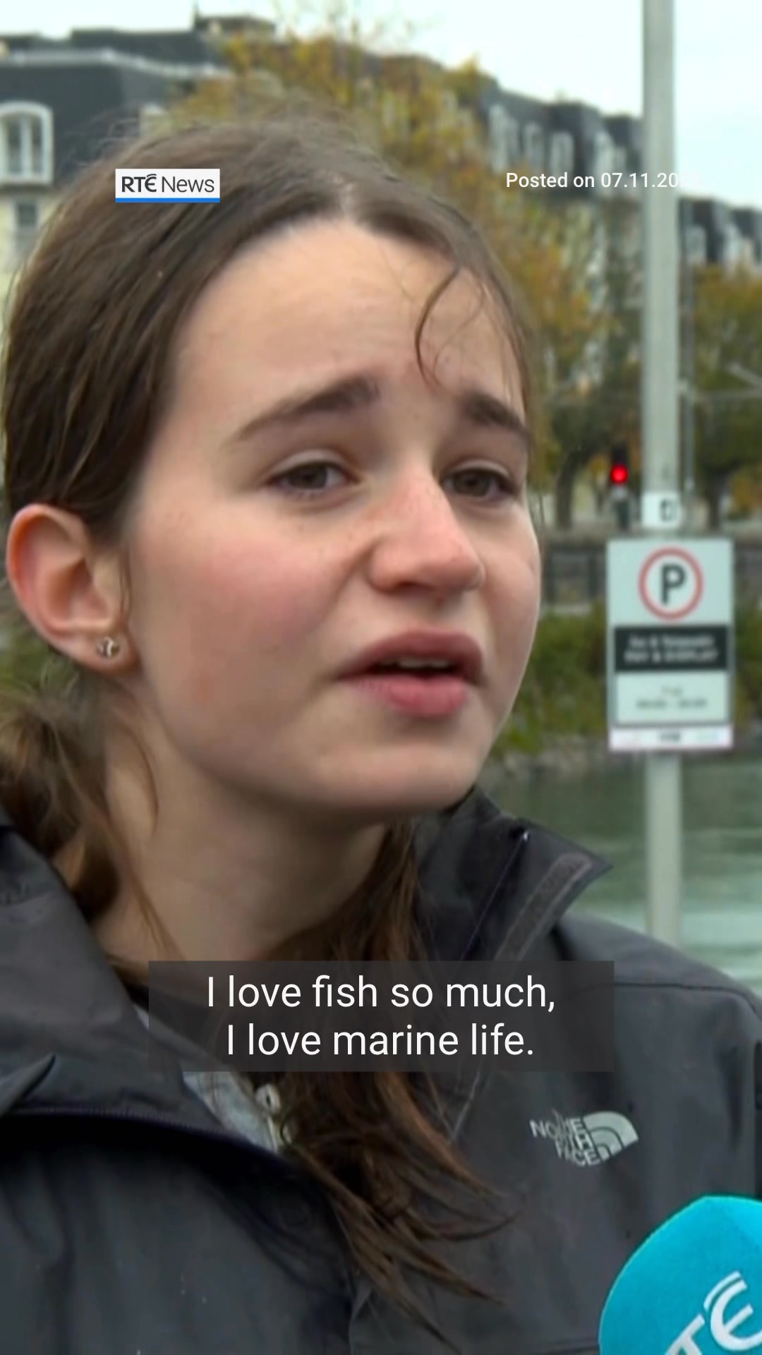More than 18,000 oysters have been deployed in Dún Laoghaire harbour in ...