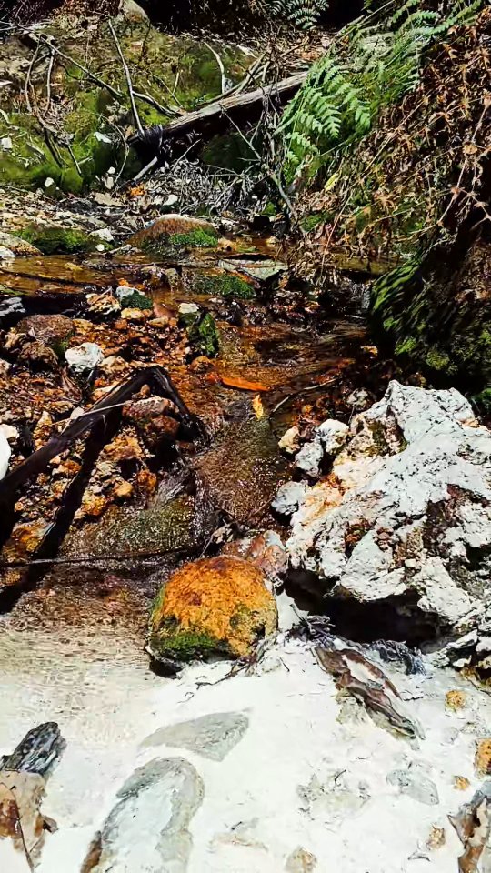 Here it is, I show you some hot springs in Rengganis Crater 🤩 which was ...