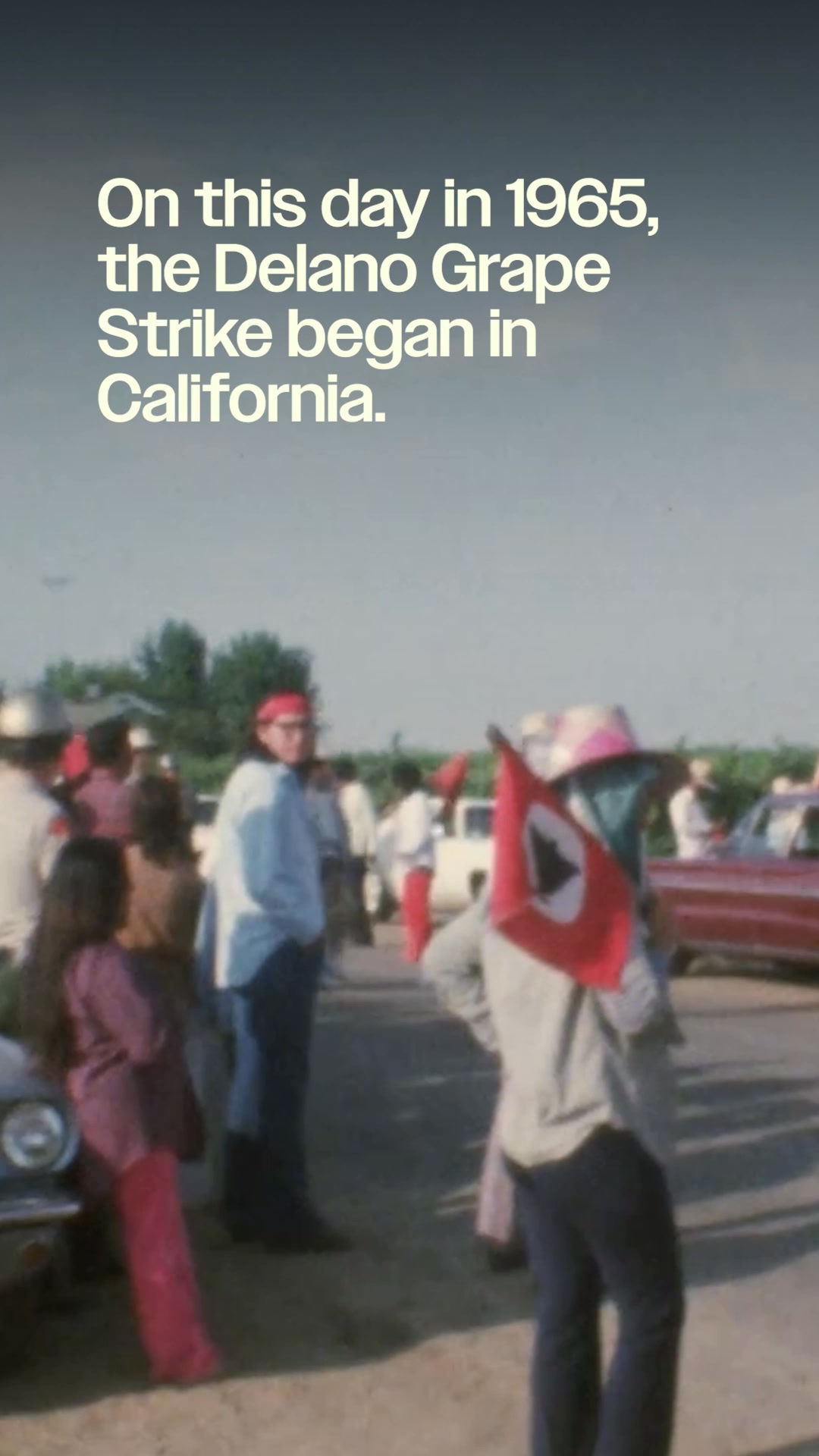 On this day in 1965, the Delano Grape Strike began—a five year labor ...