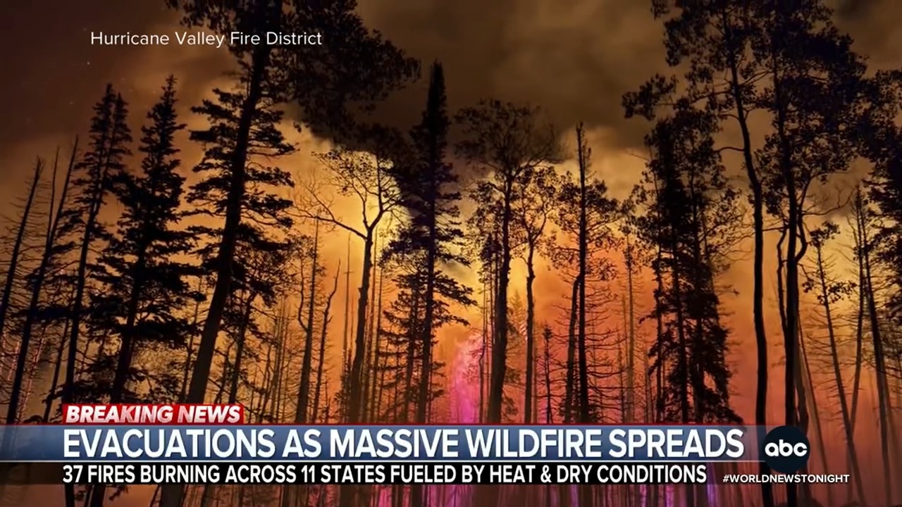 Gusty winds and bone dry conditions fuel multiple wildfires raging ...