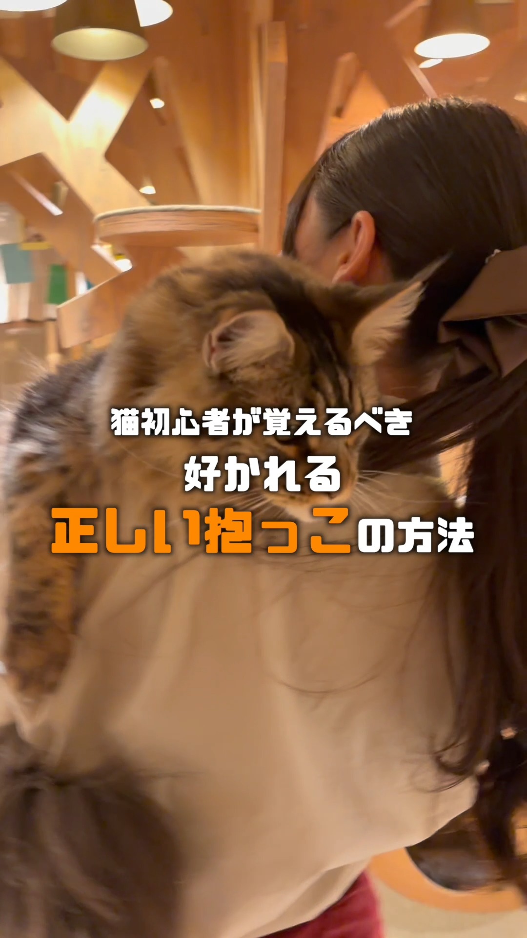 ☆カフェモカ☆365日営業中 CAT CAFE MOCHA (@catcafemocha) • Facebook