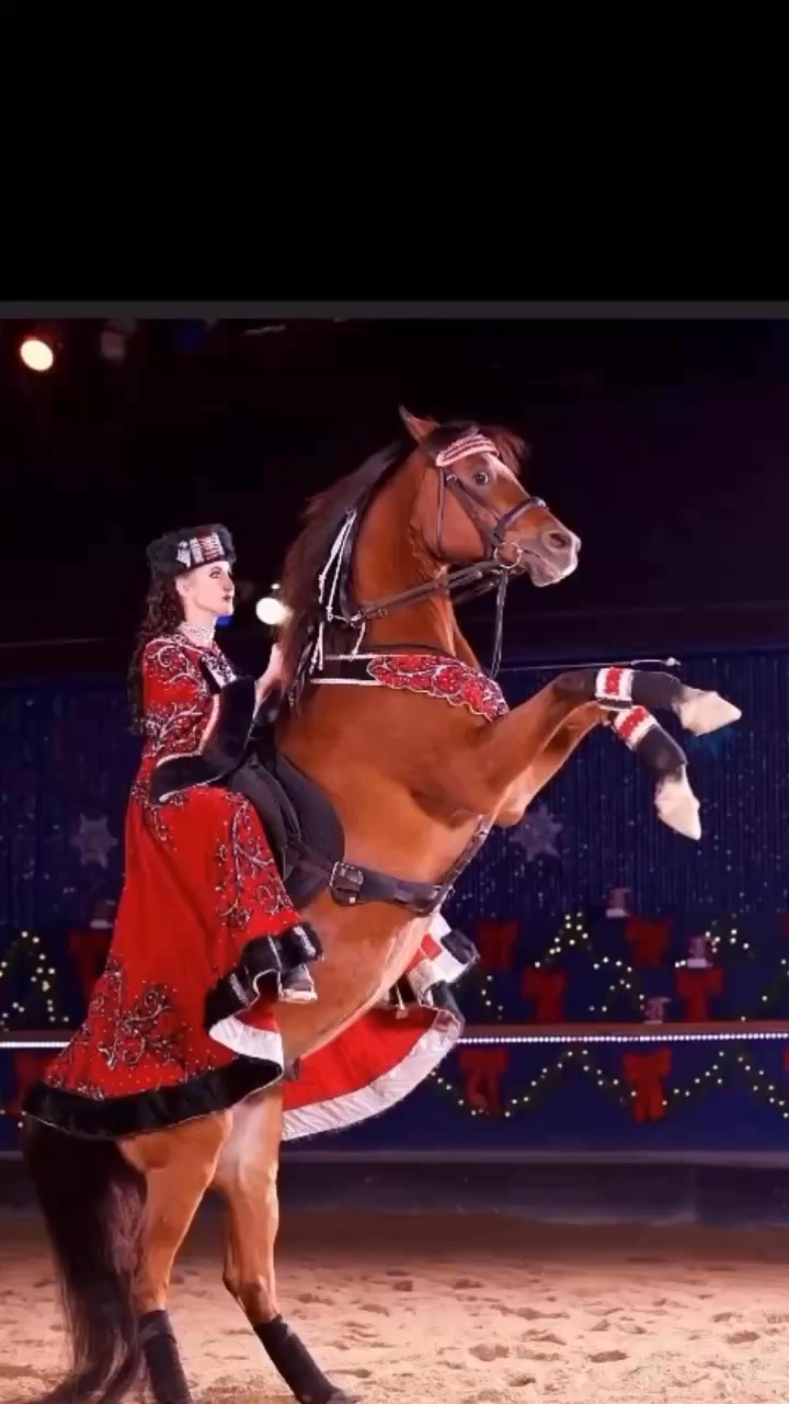 🐎✨ You've never seen horses like THIS before… Grace, power, and
