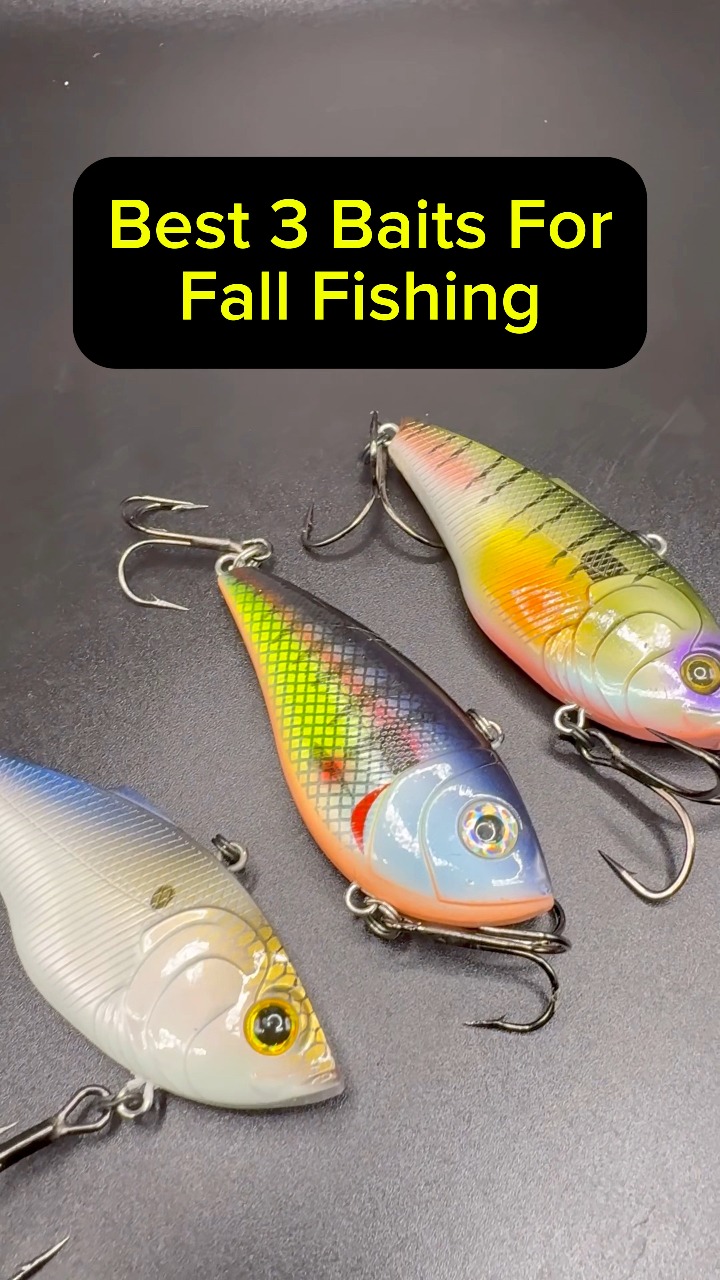 3x strong fishing hooks BKK Cutting Delta Offset Worm Hook Length | Width | Depth (Inch):15'' | 12'' | 10'' Fishing Rod Bcf Roof Lazer sharp MemberPricing