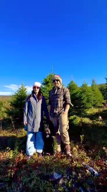 It's official! We bought a Christmas Tree Farm and are honored to ...