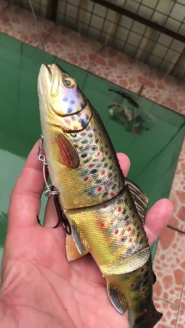 Savage Gear 4D Line Thru Roach Swimbait, Limited Edition