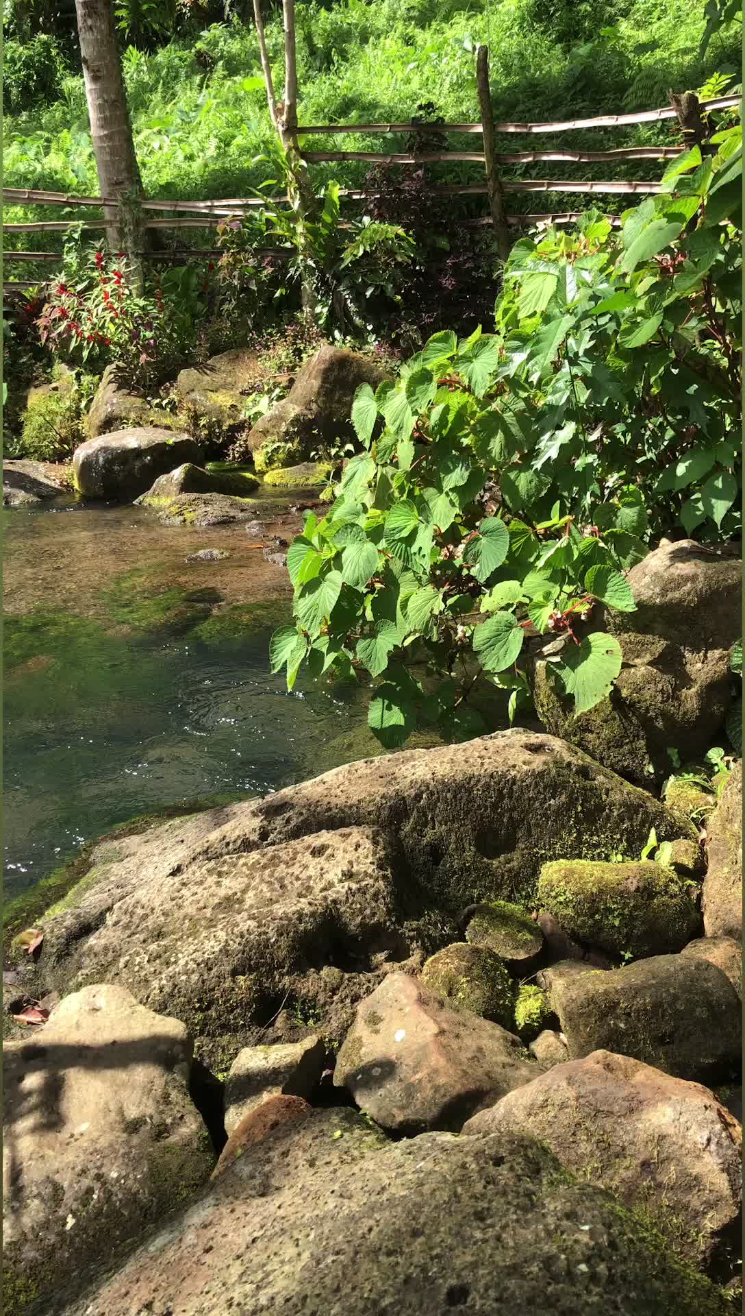 Biga-Biga Cold Spring | Malinao