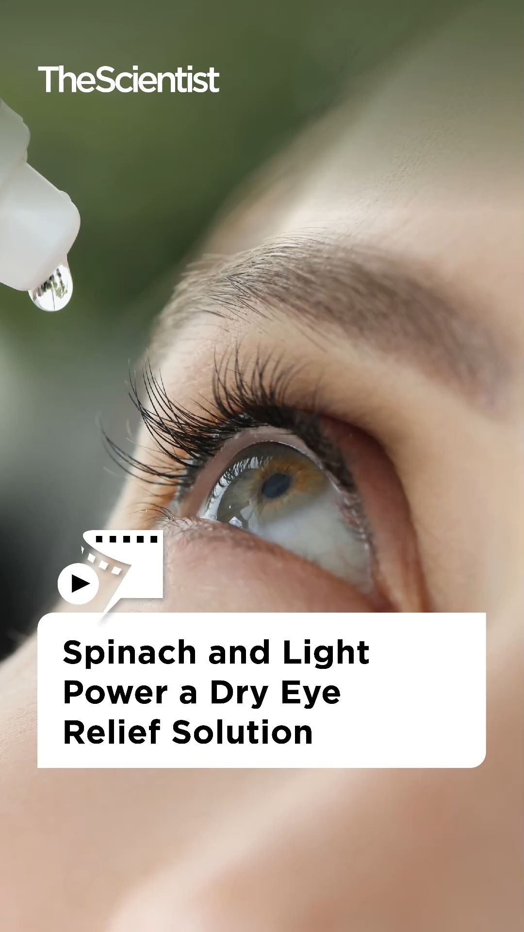 Dry eye sufferers could find relief with plant power! , Watch this video to learn how a component produced by plants may tackle the irritation that causes dry eyes. , Follow us for more science news, 