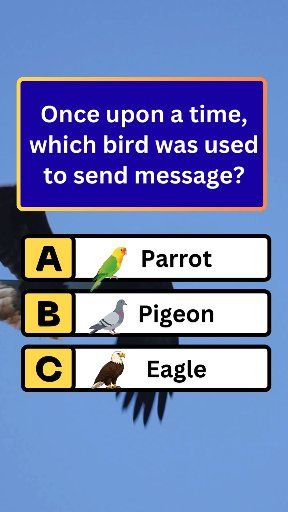 Which bird was used to send messages⁉️ #riddlechallenge #puzzle # ...