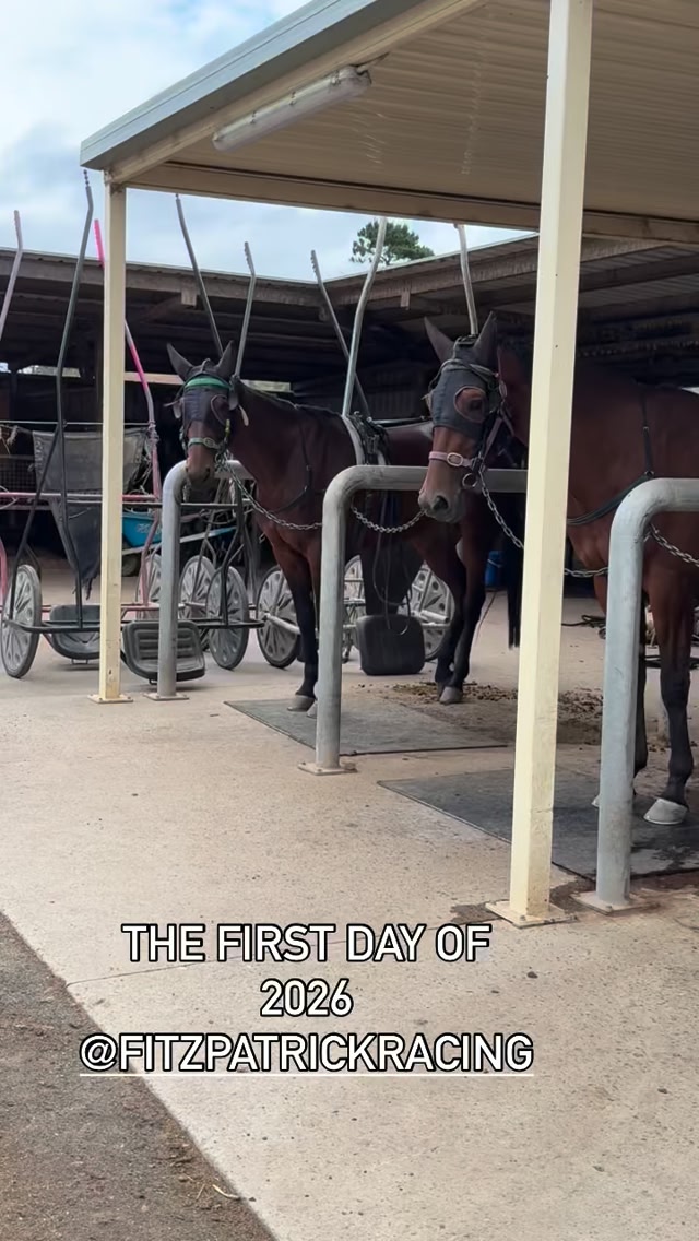 Fitzpatrick racing stables on Reels | Facebook